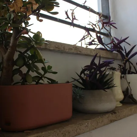 Loft Tre Rome